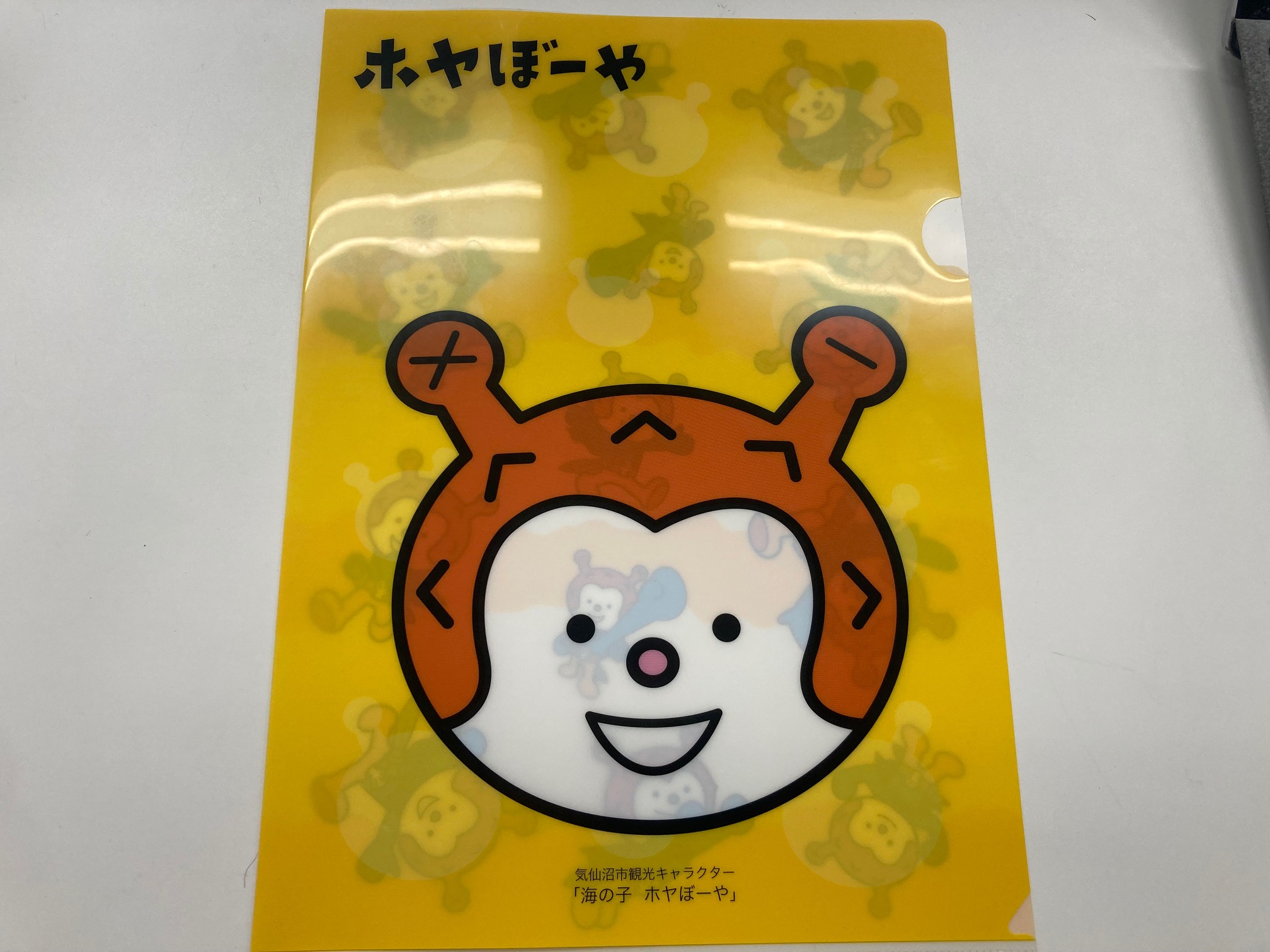 ホヤぼーや うちの子ホヤぼーや☆ (@utinokohoyaboya) / Posts / X